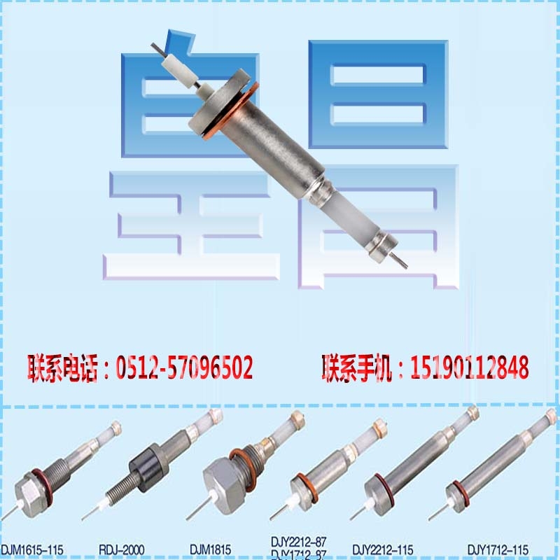 超純氧化鋁水位計(jì)電極青海黃南水位高壓電極RDJ2000D