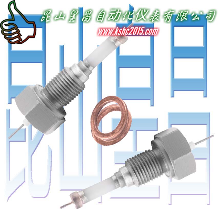 水位計(jì)電接點(diǎn)電極KSHC陶瓷水位電極