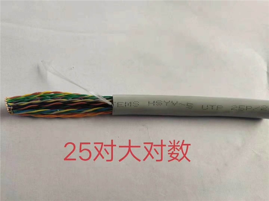 JVV JVVR JYV的詳細(xì)介紹計(jì)算機(jī)電纜