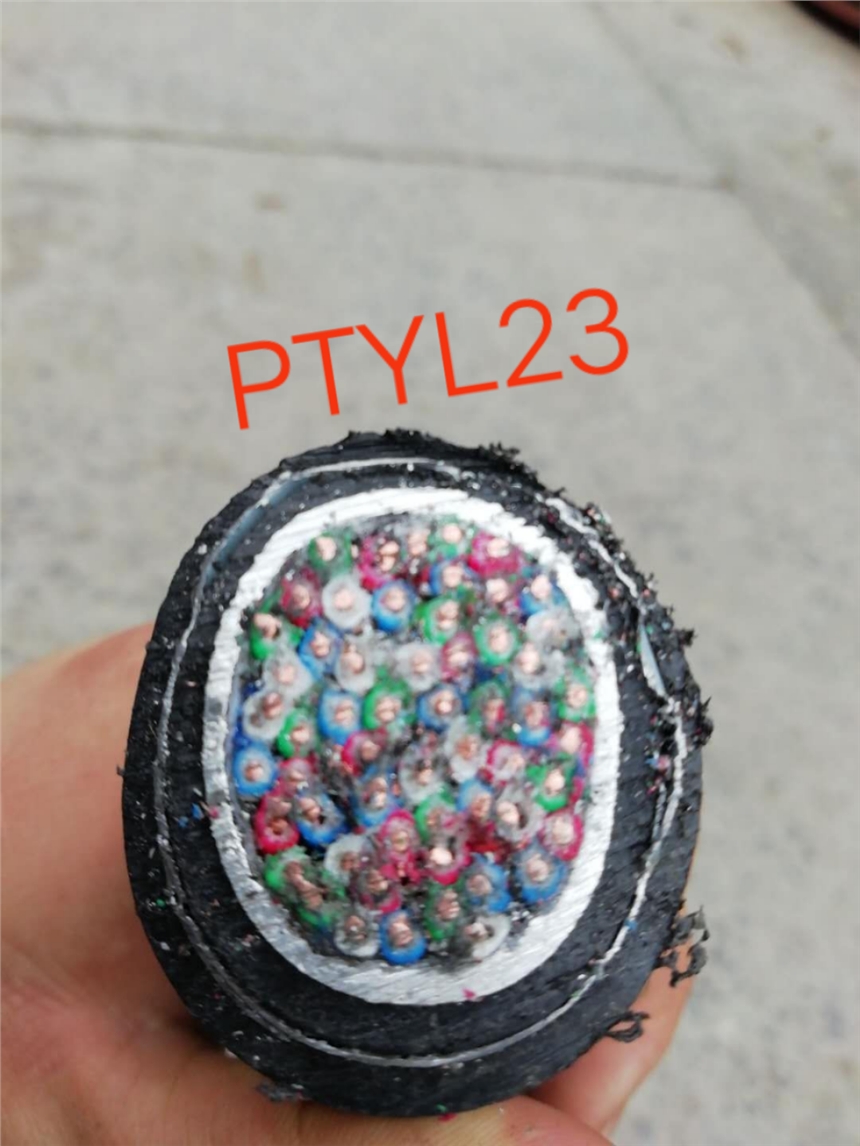 PTYA22 PTY23 綜合紐絞鐵路信號(hào)電纜