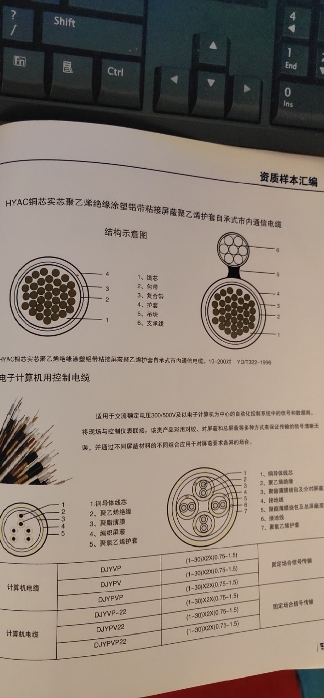 DWZR- RYY 3×6.0mm2低煙無鹵控制軟電纜