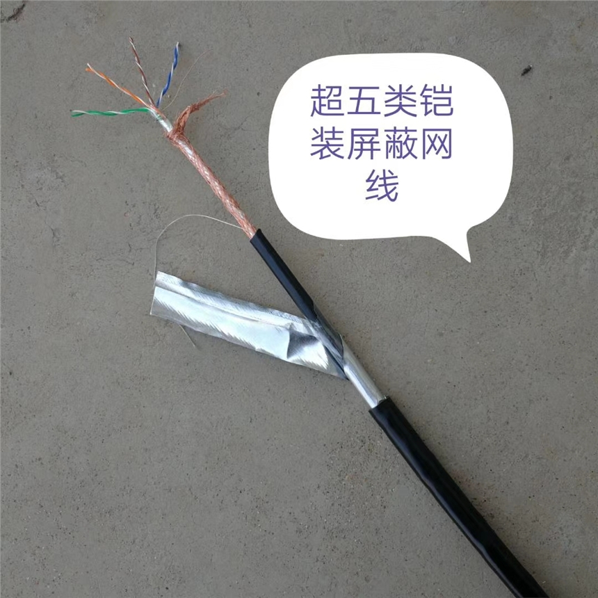 重慶DYJV-5KV 1*6 五千伏機(jī)場(chǎng)燈光線天聯(lián)品牌生產(chǎn)廠家