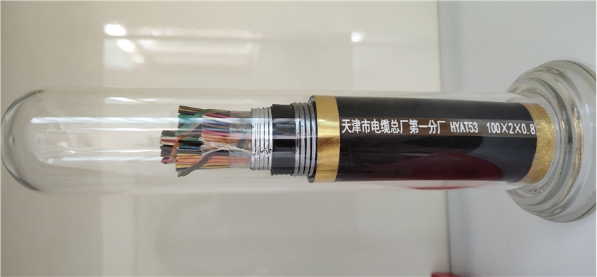 天津DJYP2VPR-0.3/0.5KV-2*2*1.5儀表電纜天聯(lián)