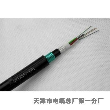 湖南礦用通信電纜 MHYV 4*2*1/0.97天聯(lián)國(guó)標(biāo)線