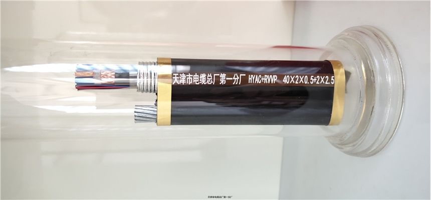 山東礦用通信電纜 MHYV 4*2*1/0.97天聯(lián)國(guó)標(biāo)線