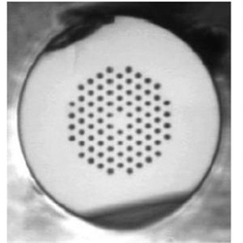 法國Photonics Bretagne光纖