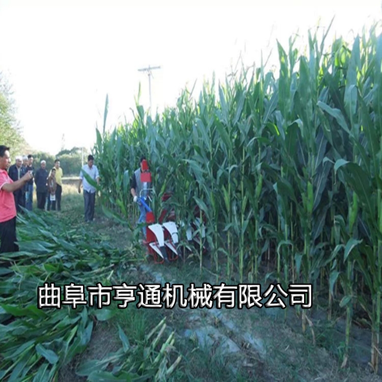 自走式1.2米寬幅麥稻割曬機 艾草稻麥割曬機 手扶車割曬機