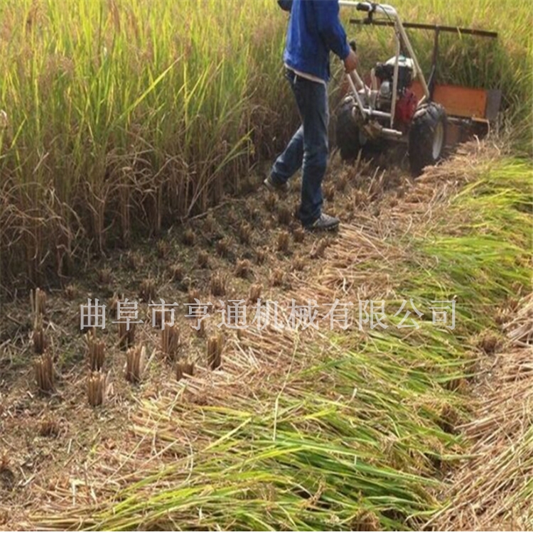 四輪車前置高桿作物割曬機 型號齊全割曬機 辣椒收割機