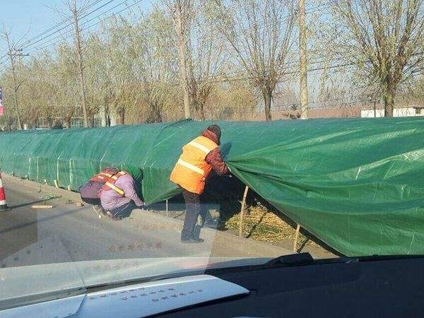 馬鞍山小樹保溫纏樹帶