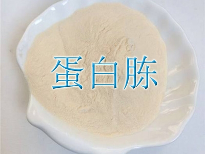 湖北蛋白胨生產(chǎn)廠家