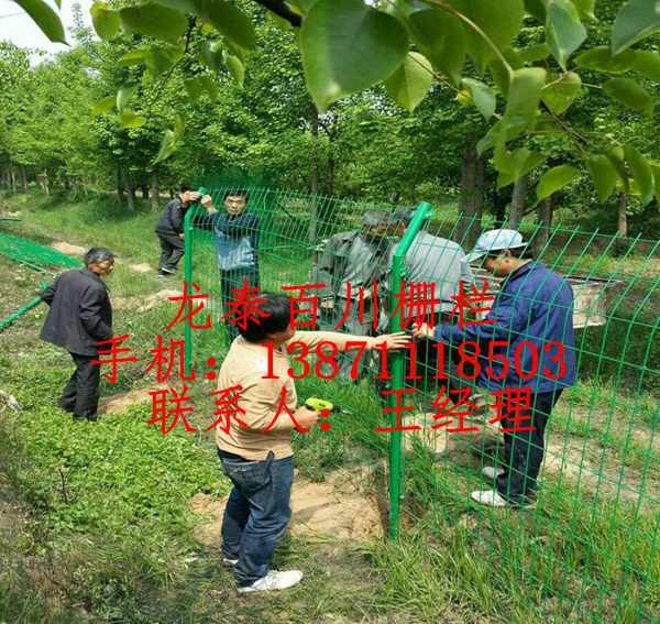 棗陽市果園種植隔離網(wǎng) 襄陽圍山鋼絲圍網(wǎng)批發(fā)價(jià)格多少錢一米