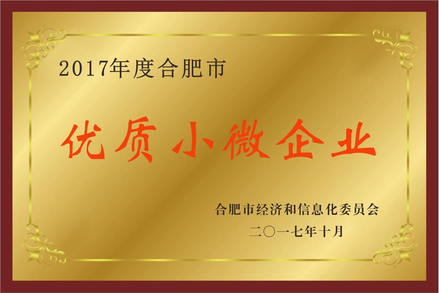 2020年合肥市優(yōu)質(zhì)小微企業(yè)申報(bào)條件獎(jiǎng)勵(lì)及推介名單出爐！