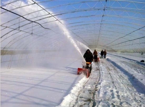 小型手扶式掃雪機(jī)帶輪的推雪板裝載式滾刷掃雪機(jī)