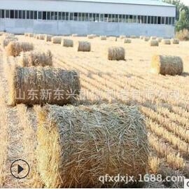 行走式牧草打包機 玉米秸稈粉碎打捆機 稻麥秸稈撿拾打捆機