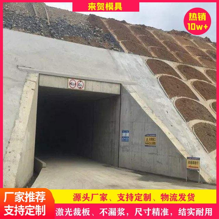 地下綜合管廊模具 來賀 綜合管廊模具 預制管廊鋼模具 地下雙艙管廊模具 供應廠家