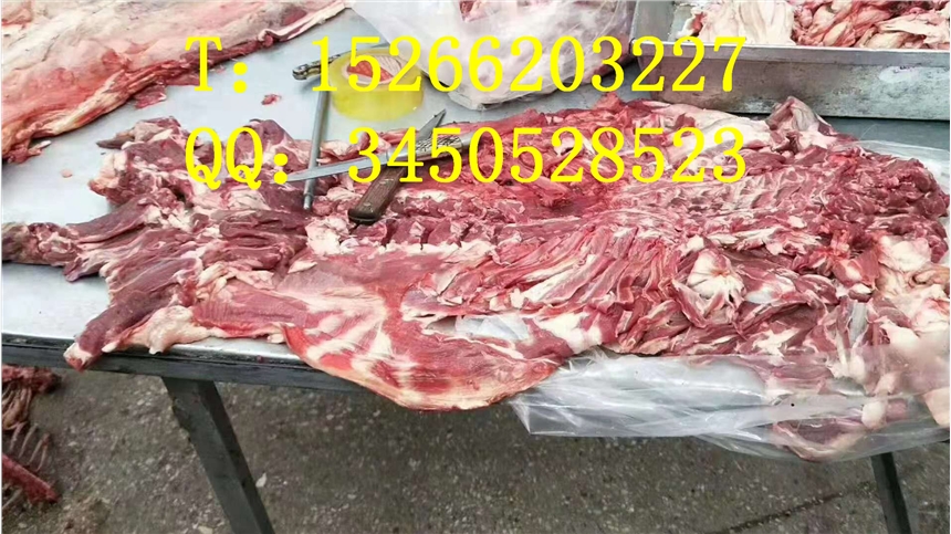 邯鄲牛肚牛腩牛前熟羊肉山羊肉牛肚牛腱子進(jìn)口冷凍批發(fā)