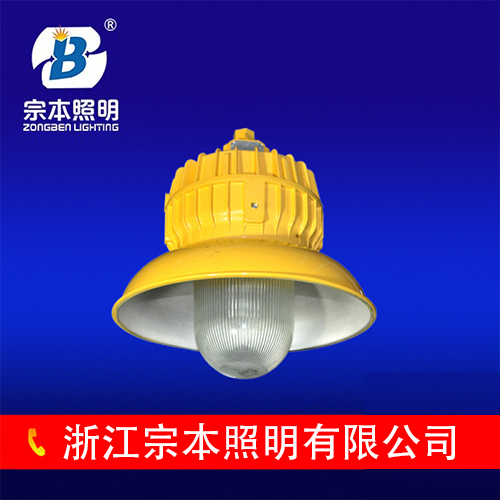 BPC8700防爆平臺(tái)燈BPC8700廠家直銷(xiāo)