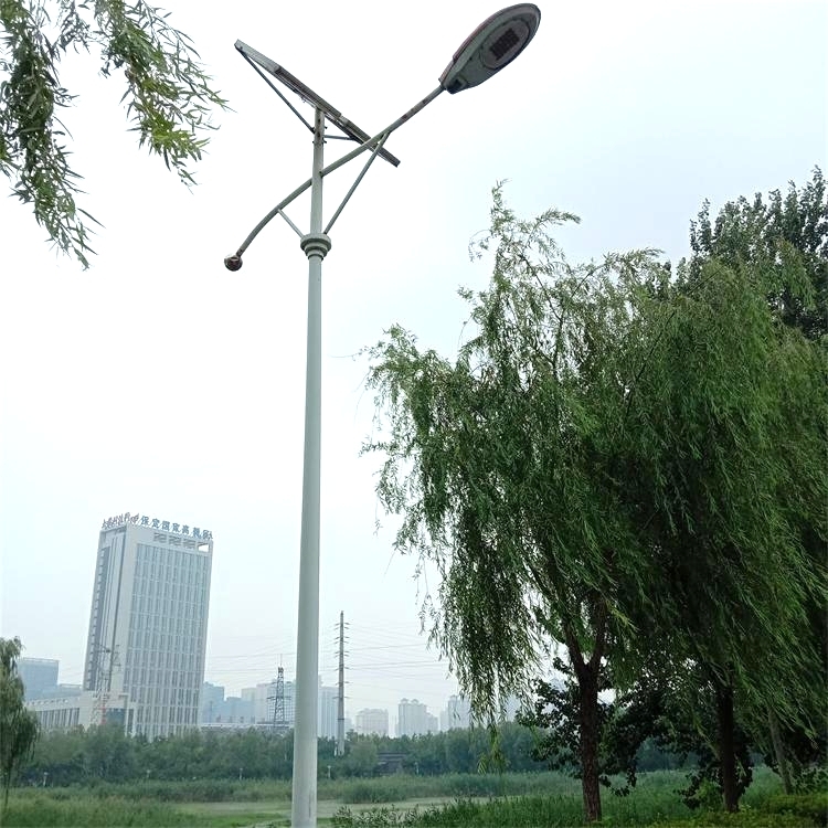 LED路燈 小區(qū)公園景觀燈 6米太陽(yáng)能燈道路燈