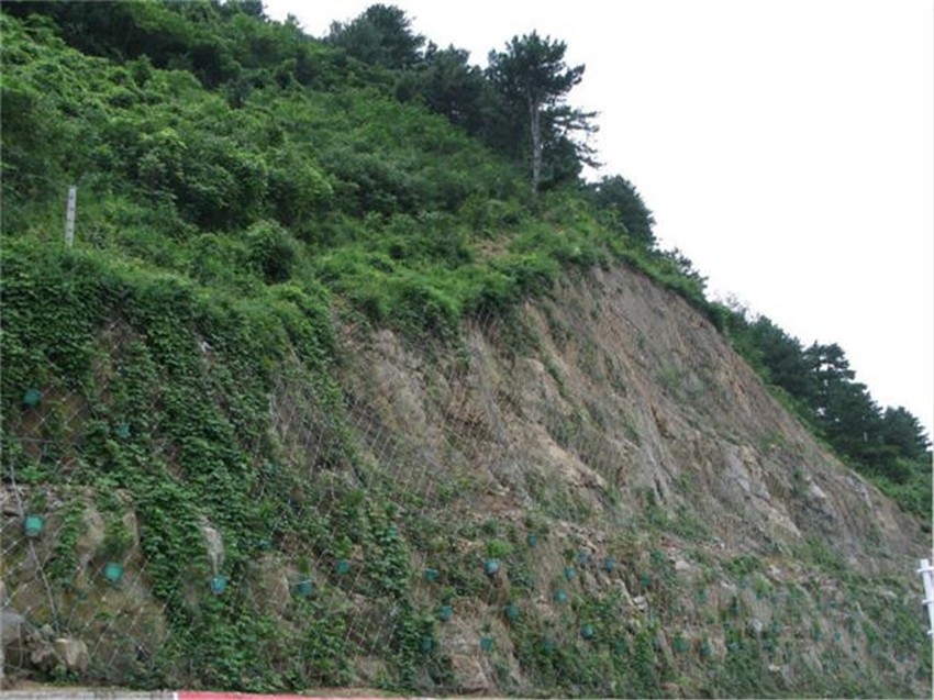 荒廢鐵礦山區(qū)生態(tài)修復(fù)專用綠化草種草籽