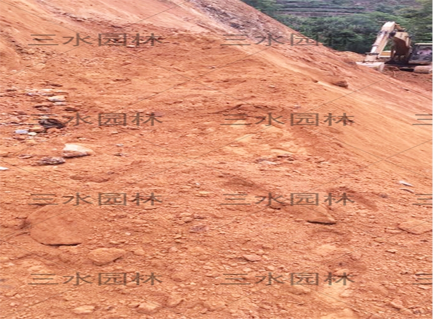 益陽(yáng)紅土高陡邊坡綠化用什么草籽比較好？