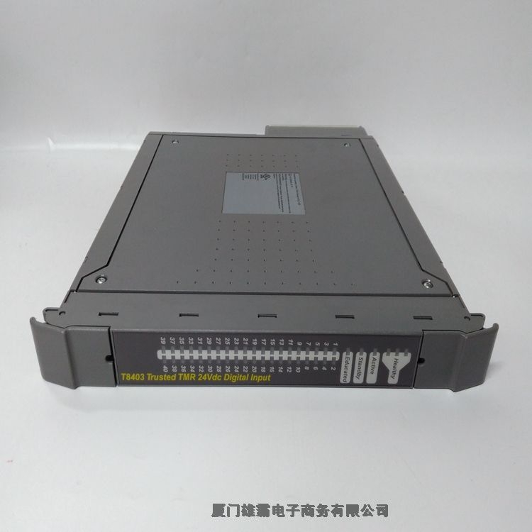 ICSTRIPLEX T8842 PLC備品備件卡件模塊