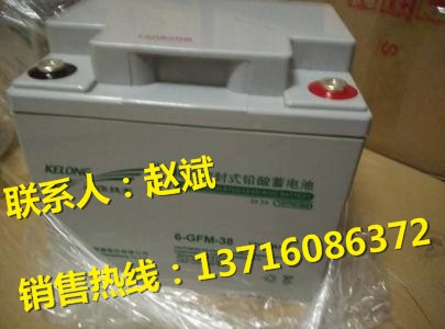 理士LEOCH蓄電池FTG12-100L/12V100AH價(jià)格參數(shù)