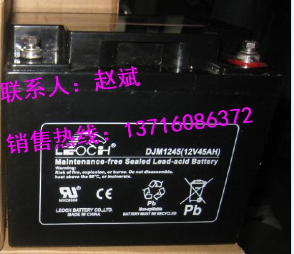 理士LEOCH蓄電池DJ1000實(shí)時(shí)報(bào)價(jià)