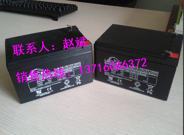 理士LEOCH蓄電池DJM12100/12V100AH實時報價