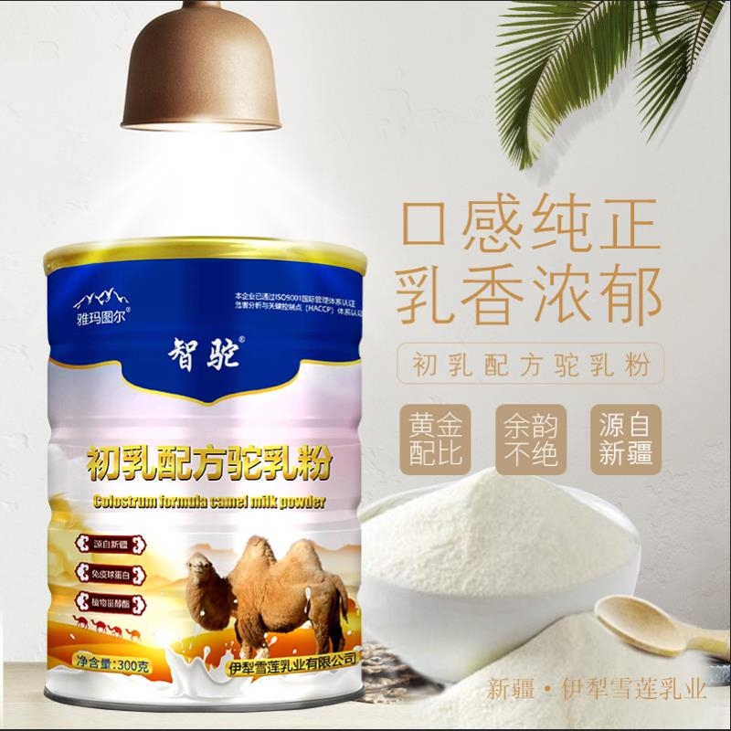 駱駝奶粉廠家伊犁雪蓮乳業(yè)品牌駱駝奶粉誠(chéng)招商代理