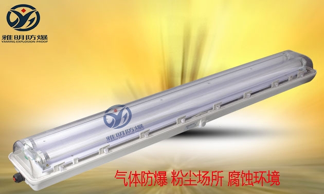 防爆防腐全塑熒光燈 BAY51-Q2X40W防爆全塑燈