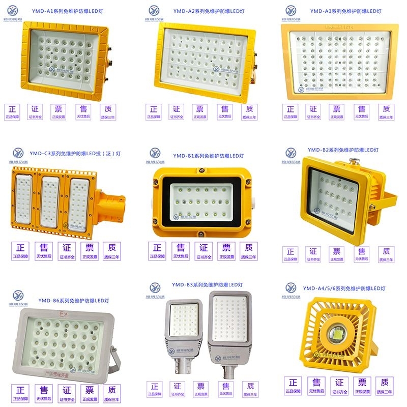 100WLED防爆投光燈廠家 IIC級隔爆型免維護(hù)防爆燈100W120W