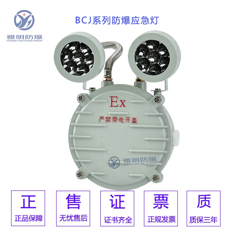 BCJ-5WExdIIBT6IP65壁掛式防爆雙頭應急燈