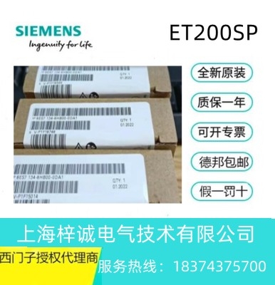 6ES7134-6HB00-0DA1 西門子ET 200SP 模擬式輸入端模 現(xiàn)貨