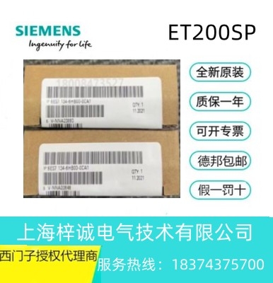 6ES7134-6HB00-0CA1 西門子 ET 200SP 模擬式輸入端模塊 現(xiàn)貨