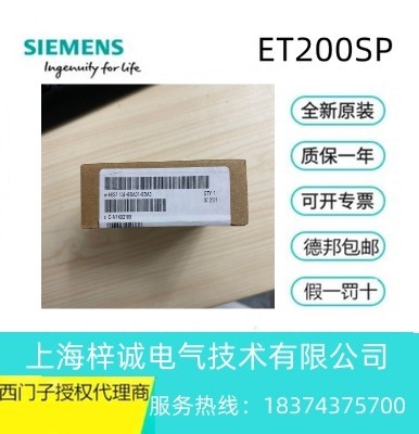 6ES7138-6BA01-0BA0 西門子 ET 200SP計數(shù)和 位置解碼器模塊