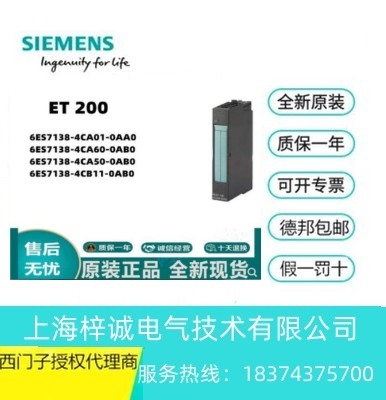 6ES71384CA600AB0 西門子 SIMATIC DP， 電源模塊 現(xiàn)貨供應(yīng)