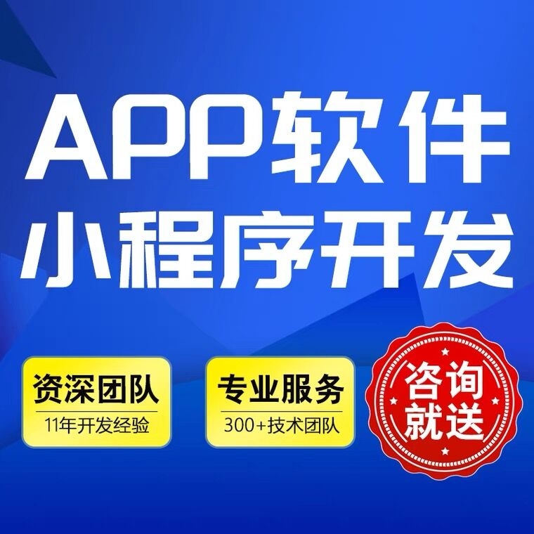 13年開發(fā)公司承接搭建網站公眾號小程序開發(fā)可提供源碼