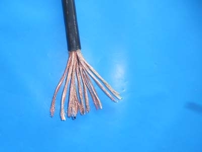 鐢樺崡WDZN-RVVP2*1灞忚斀淇¤櫉(h脿o)鑰愮伀娑堥槻灏�(zhu膩n)鐢ㄩ浕绾滃搧鐗�