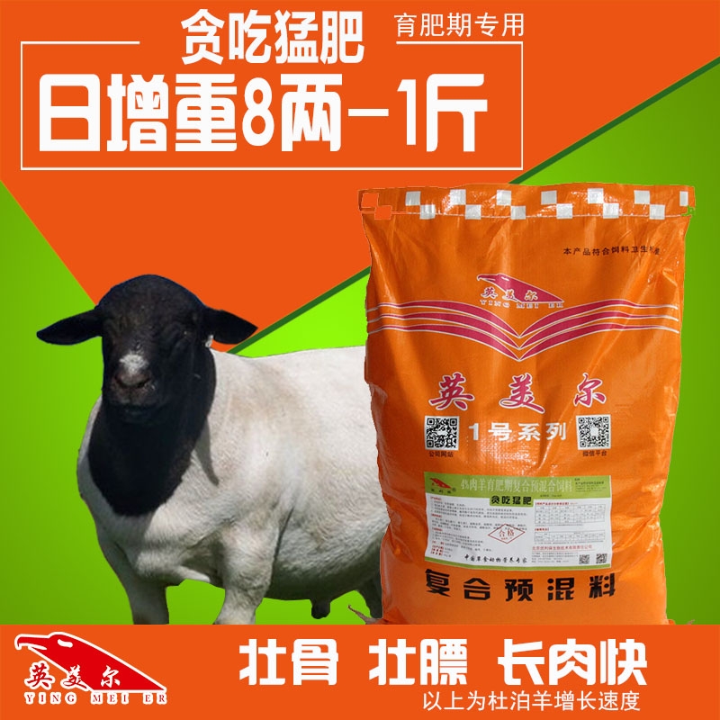 大型羊場(chǎng)都喂啥飼料 肉羊飼料預(yù)混料