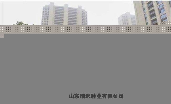 哪里賣(mài)綠化的草坪種子波斯菊