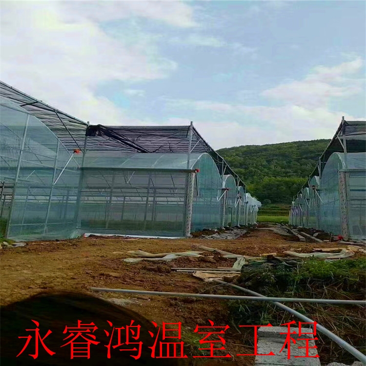 供應(yīng)商出售 大棚鋼管 建造基地