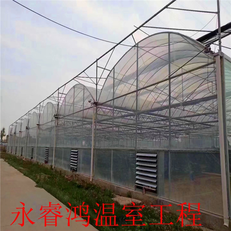 哪家好 日光大棚 建造基地