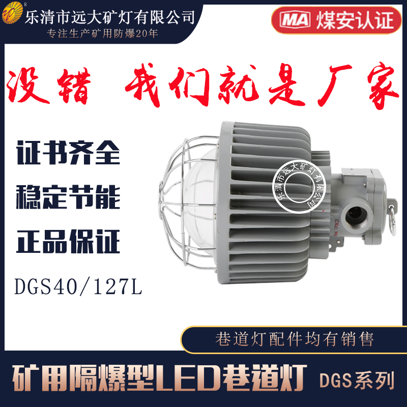 礦用隔爆型LED巷道燈DGS40/127L(A)  防爆燈具40W