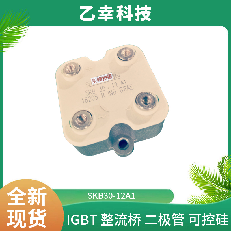 西門康IGBT功率模塊SKB30-12A1