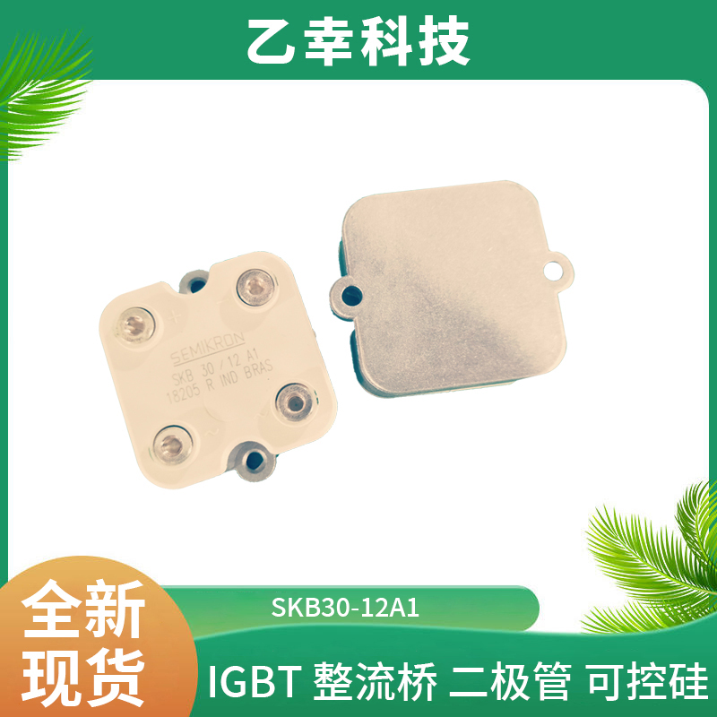 西門康IGBT功率模塊SKB30-12A1正品