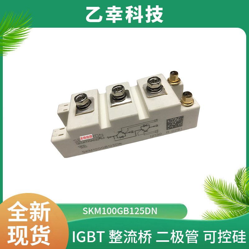 西門康IGBT功率模塊SKM100GB125DN