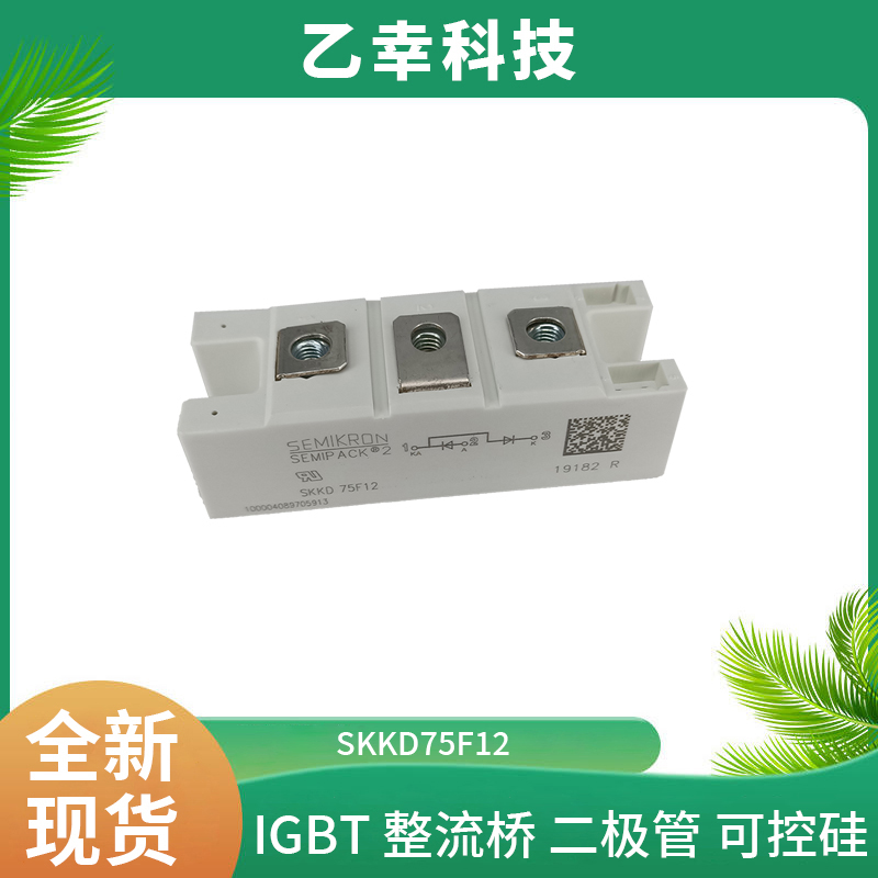 西門康IGBT功率模塊SKM195GB066D