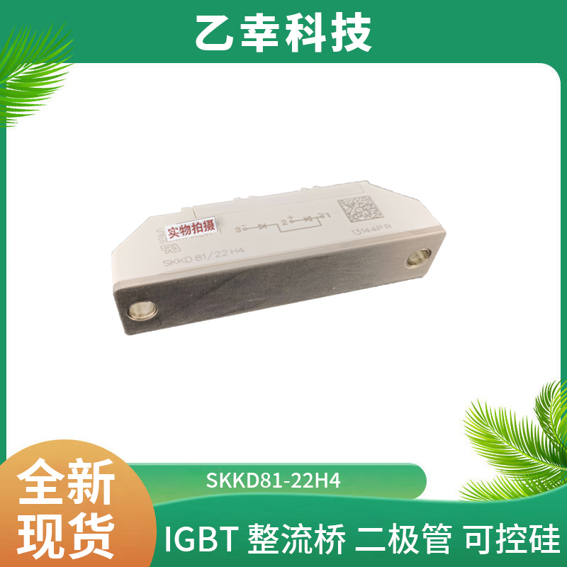 西門康IGBT功率模塊SKB50/16A3