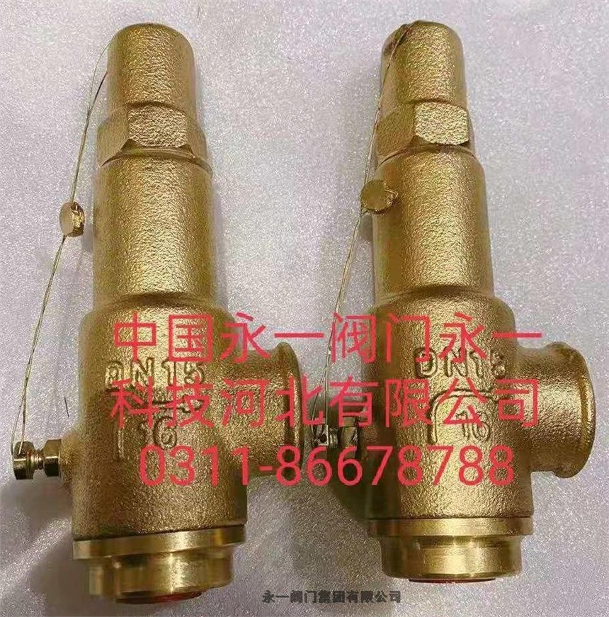 內(nèi)蒙古YFA48SB-160CI 永一閥門集團產(chǎn)品質(zhì)量可靠，安全制藥安全閥