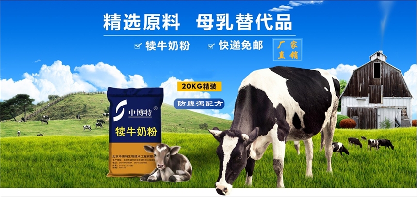 犢牛代乳粉飼料轉(zhuǎn)化率高效益好